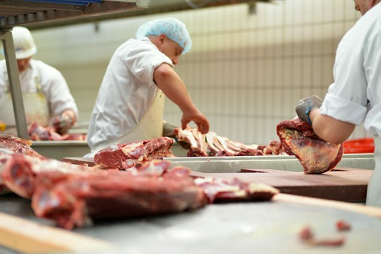 produkcja mięsa